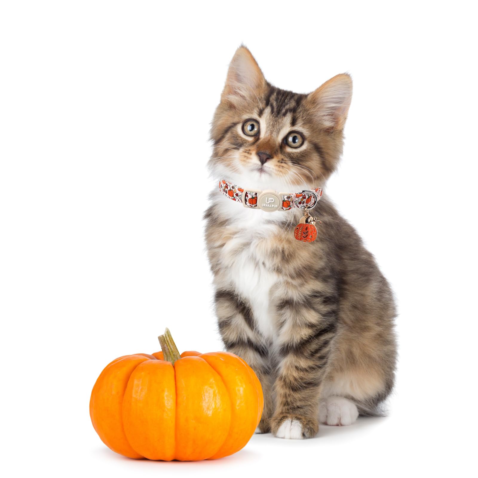 UP URARA PUP collier porté par chat parmi feuilles, bénéfice photos festives