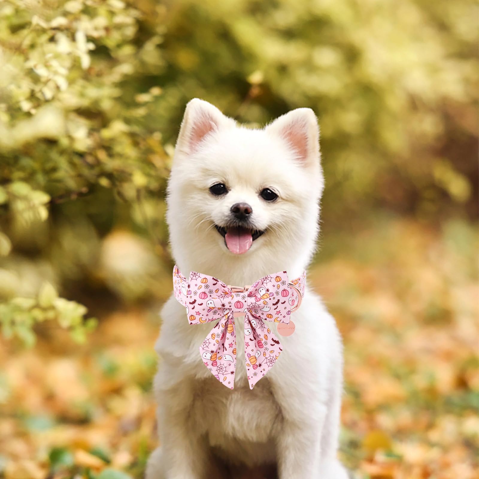 UP URARA PUP collier porté par chien pour look festif et photos