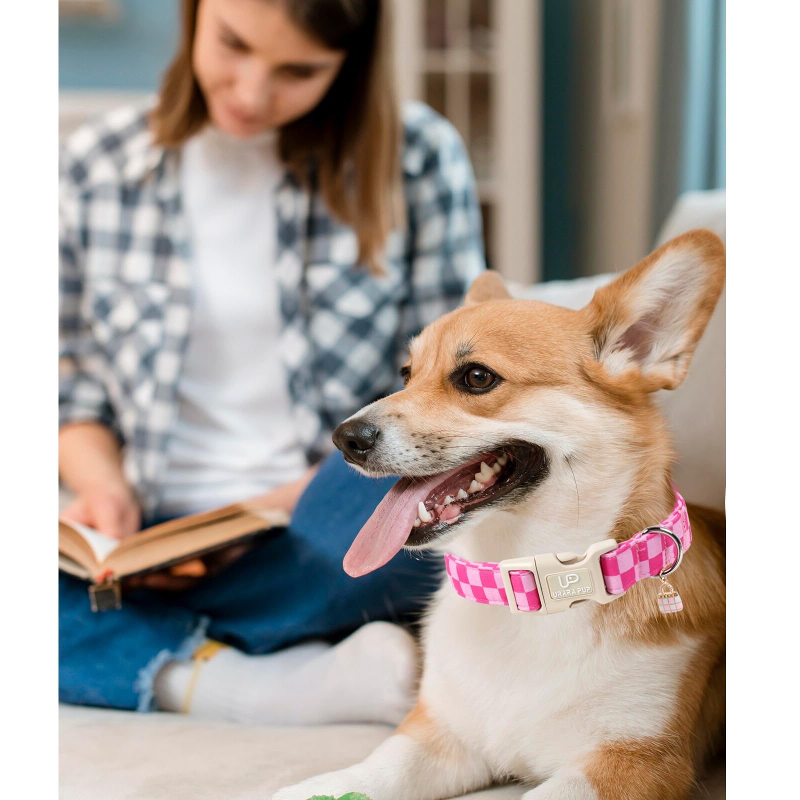 UP URARA PUP motif nœuds et carreaux, design mignon qui personnalise le chien