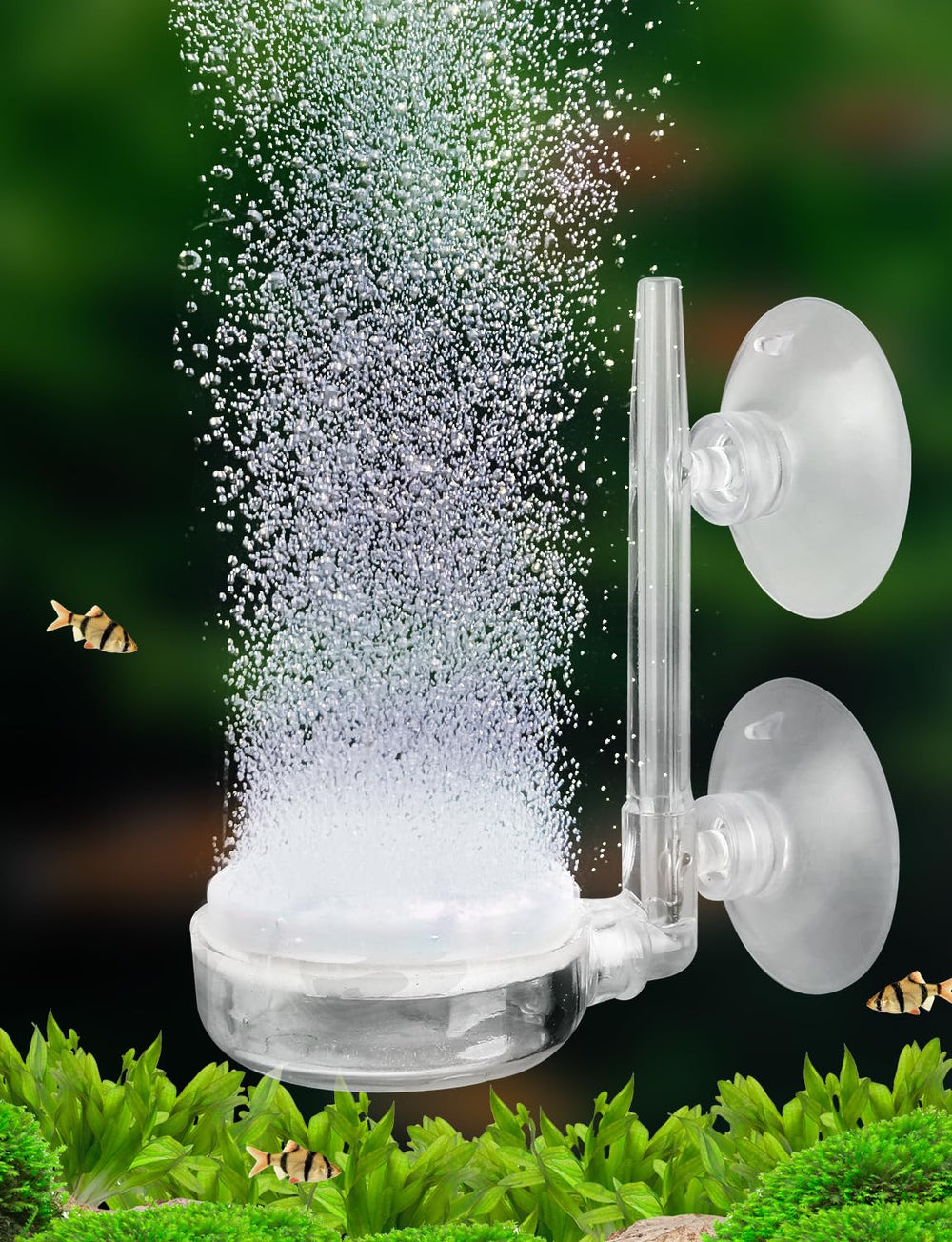 UPETTOOLS disque 35 mm gros plan montrant pores et production de micro-bulles