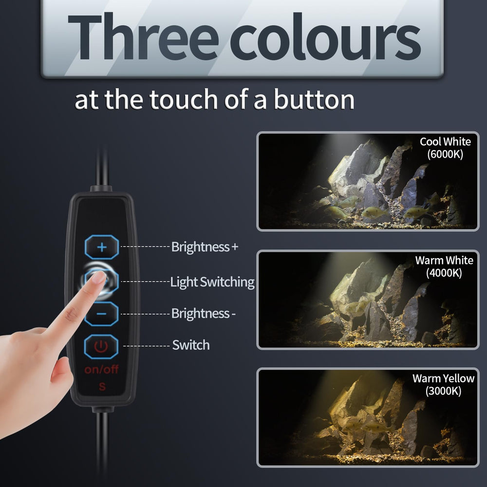 UPETTOOLS lampe à côté d’une règle pour visualiser l’échelle et l’adaptabilité au bac