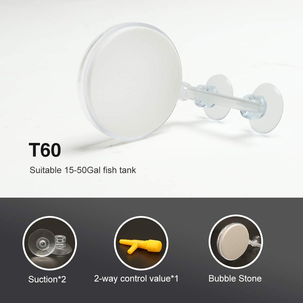 UPETTOOLS gros plan du disque céramique T60 montrant la texture poreuse performante