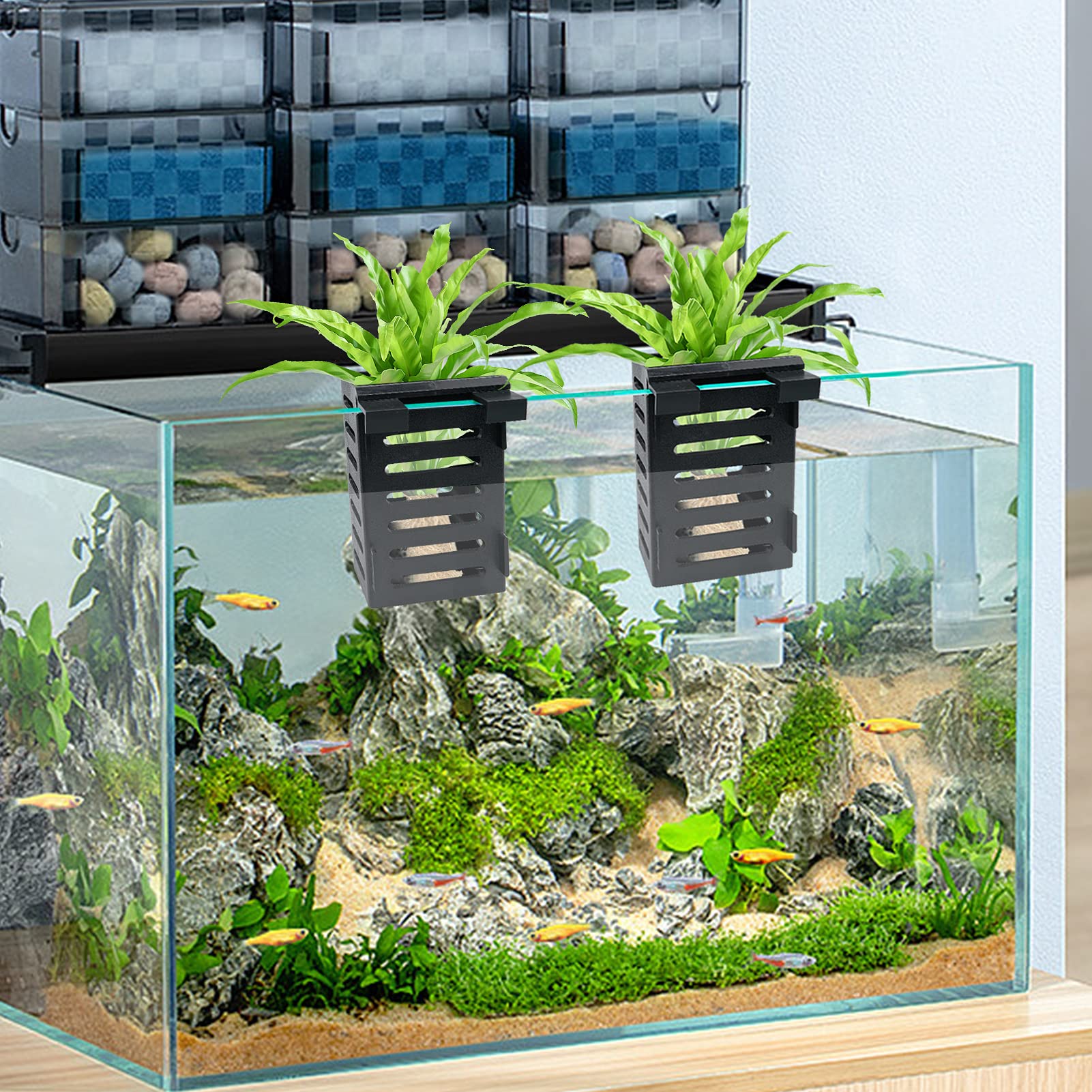 Uprony pots intégrés dans aquascape démontrant décoration naturelle