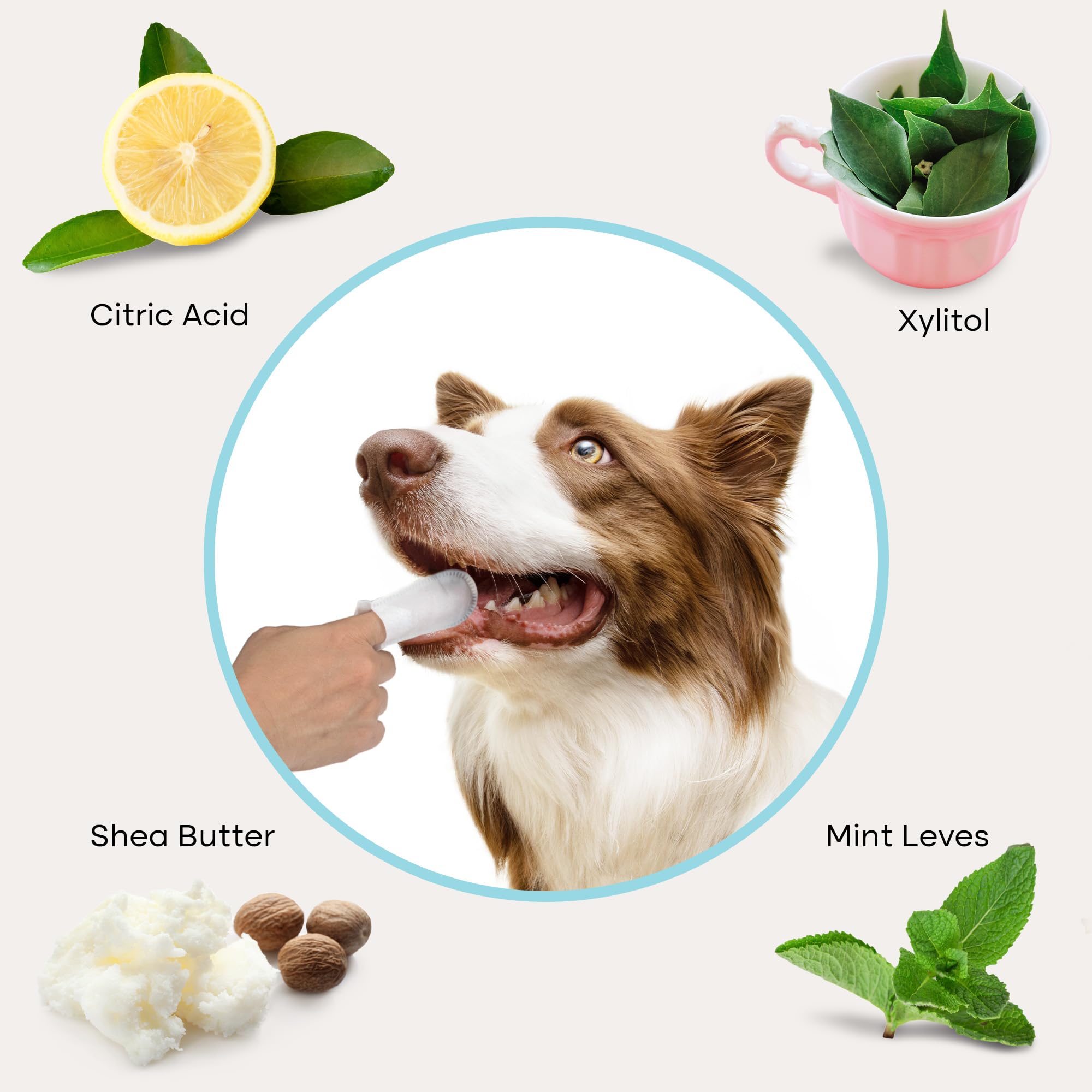 Uproot Clean mise en scène lifestyle pour utilisation quotidienne