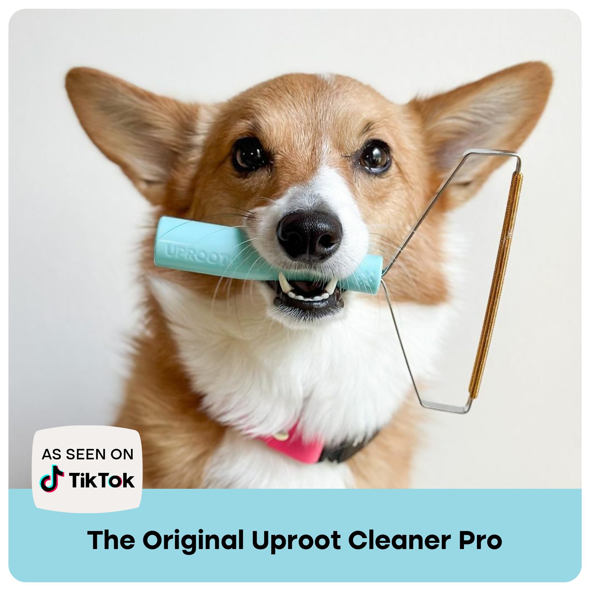 Uproot Clean Pro vidage et nettoyage des résidus facile et hygiénique