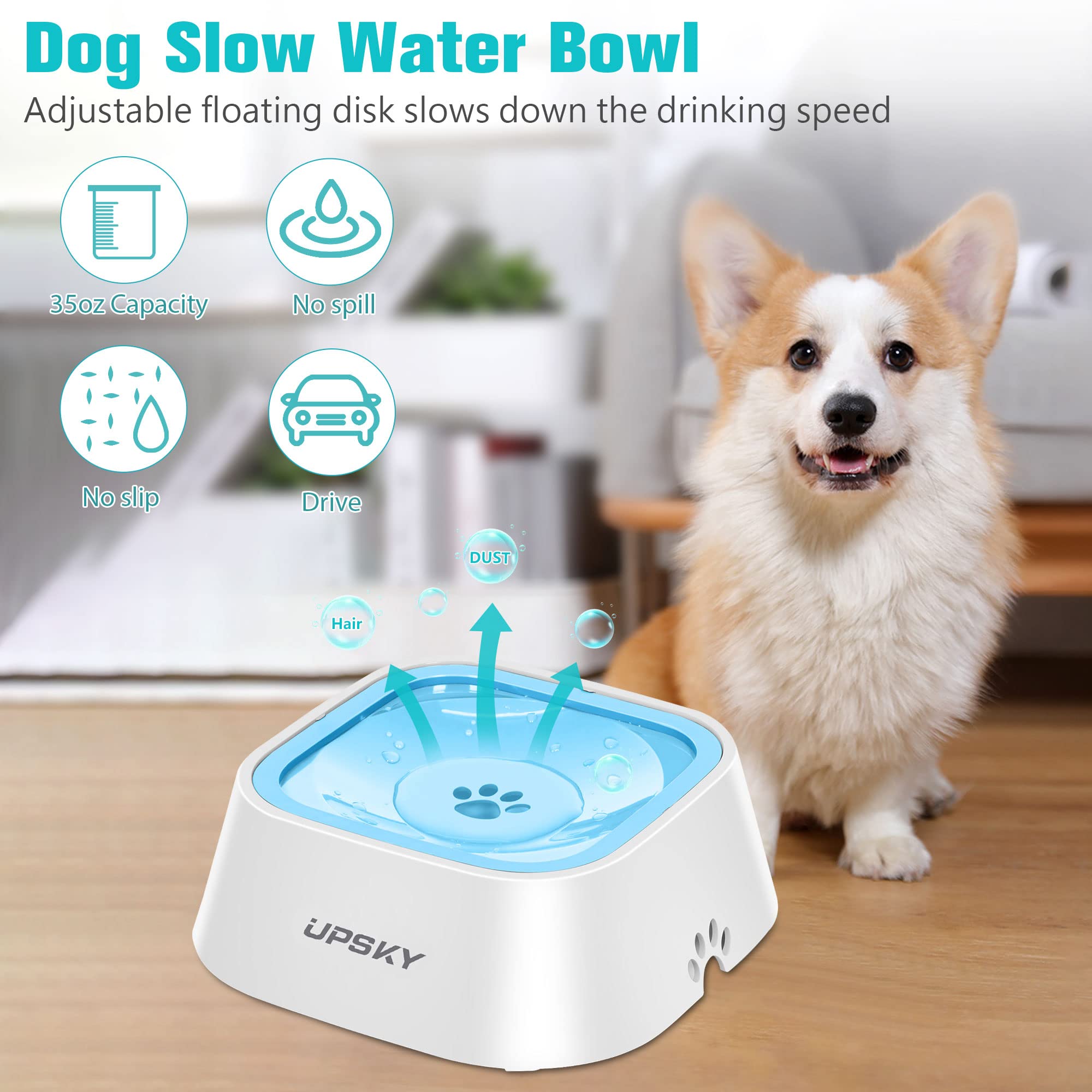 UPSKY gamelle utilisée par un chien confort et propreté visibles