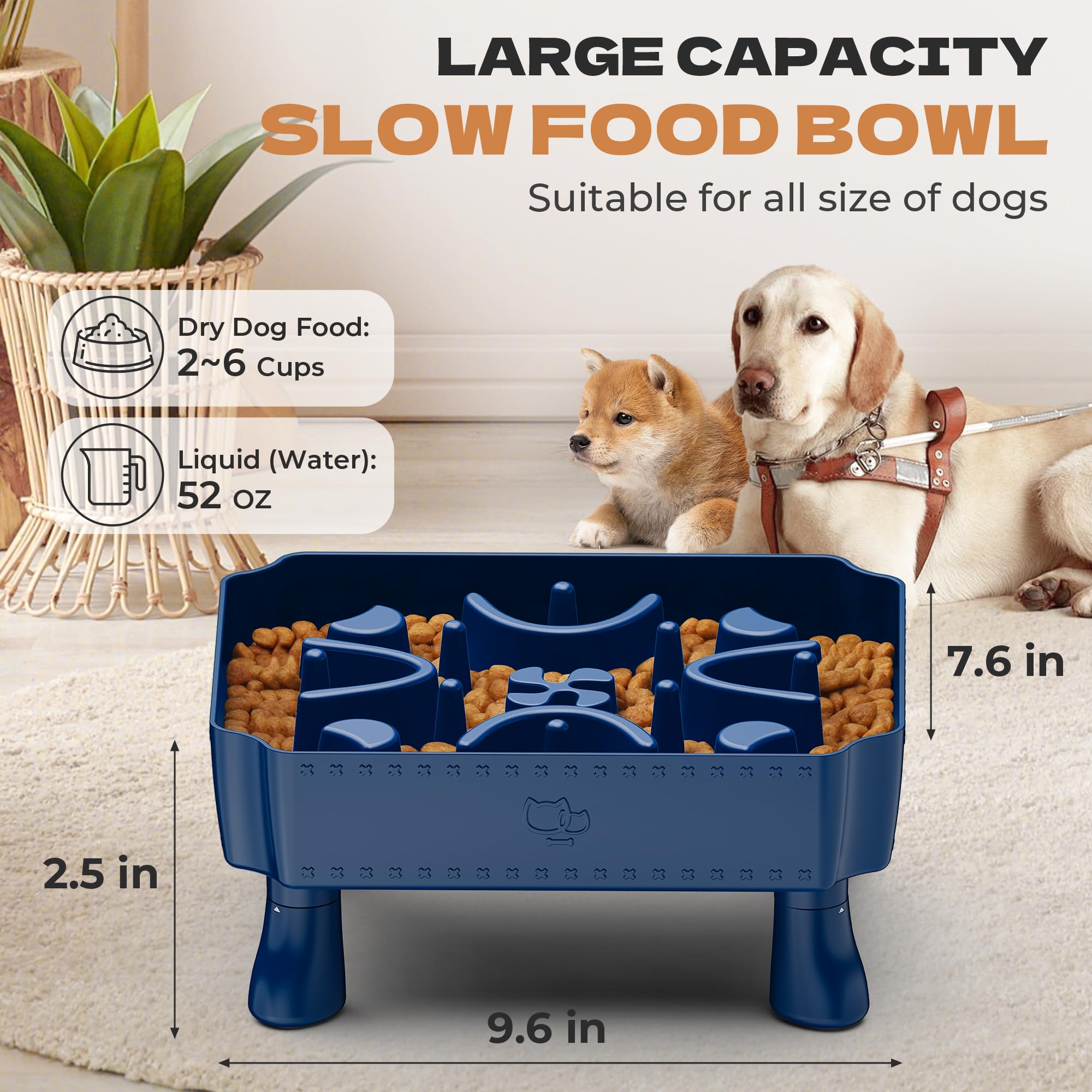 UPSKY gamelle en usage par un chien illustrant alimentation plus lente