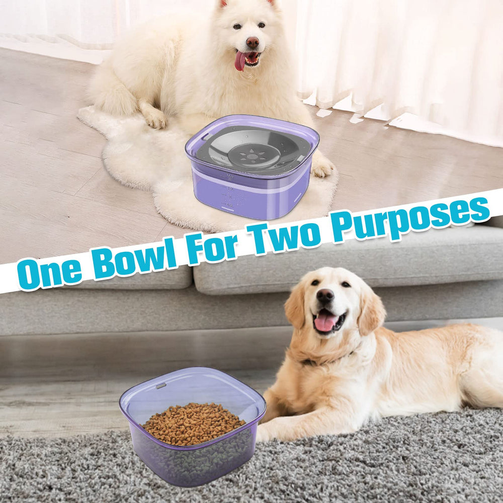 UPSKY gamelle en usage avec chien, réduit éclaboussures et saleté