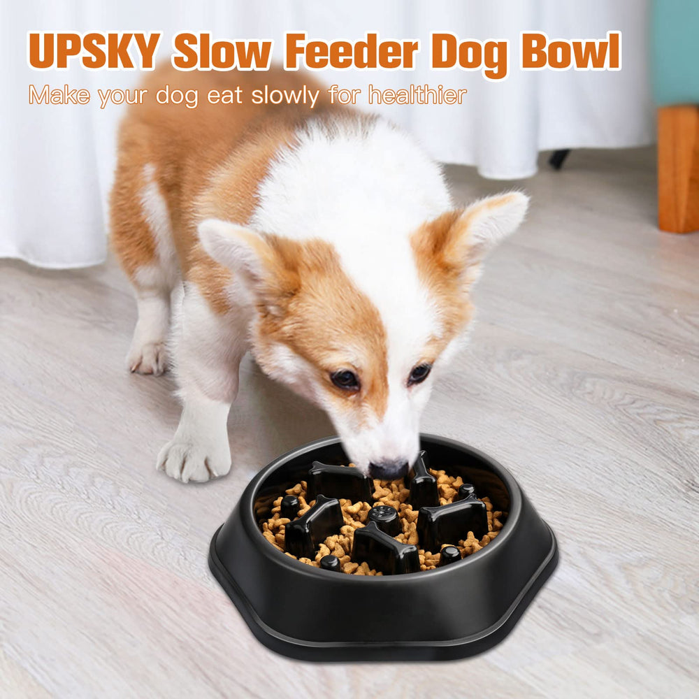 UPSKY gamelle compatible lave-vaisselle pour nettoyage facile