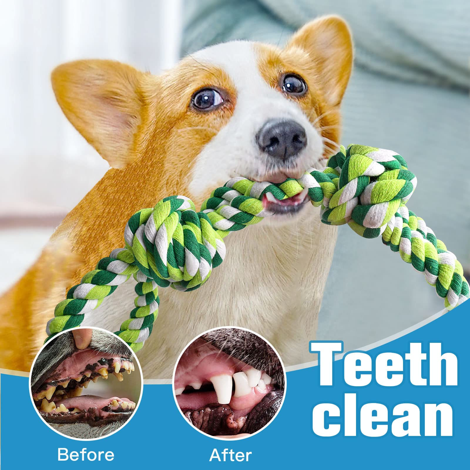UPSKY chien jouant avec corde illustrant divertissement et exercice