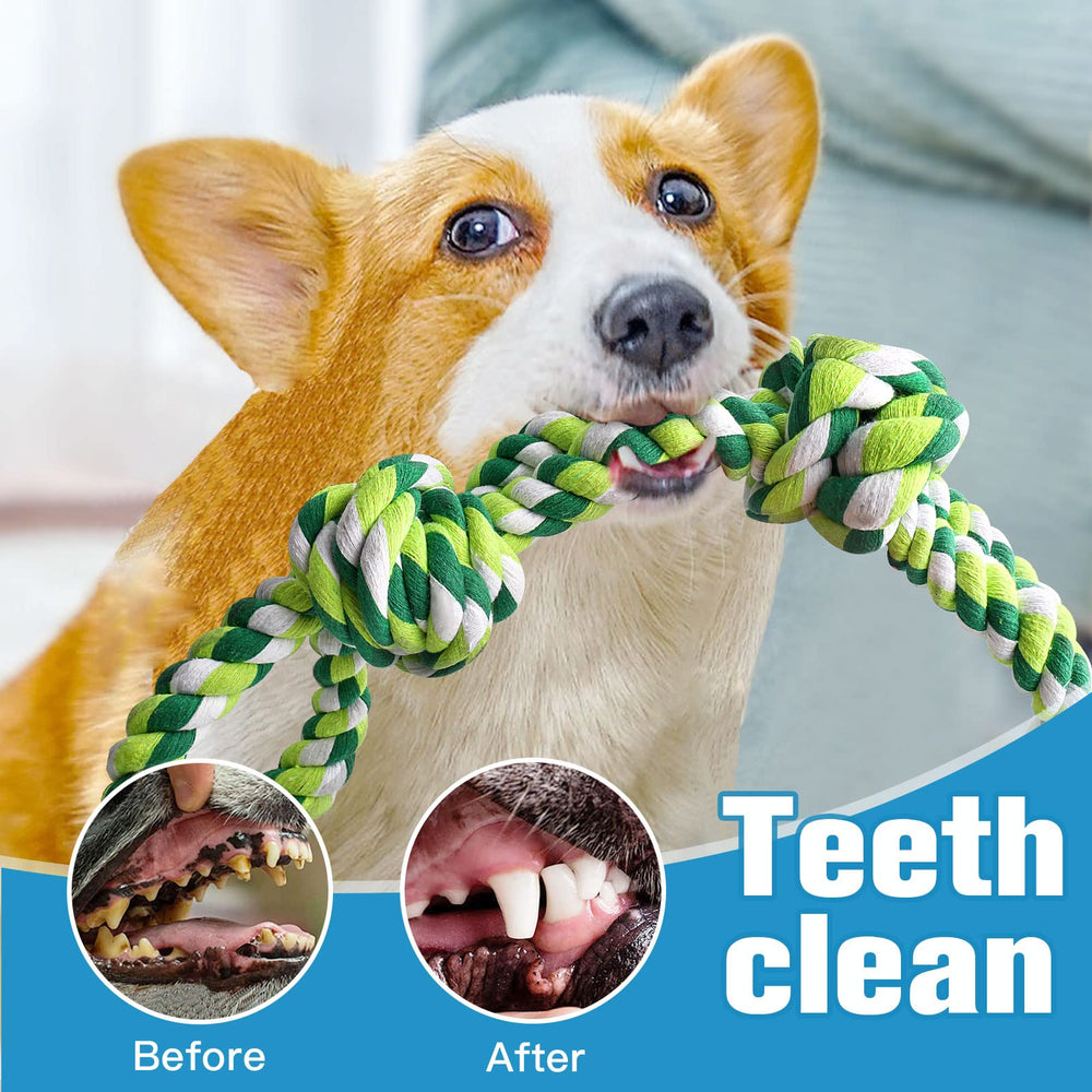 UPSKY chien jouant avec corde illustrant divertissement et exercice