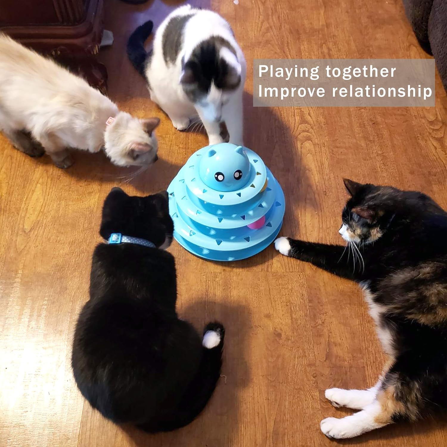 UPSKY en scène salon avec chat, améliore activité et bien-être