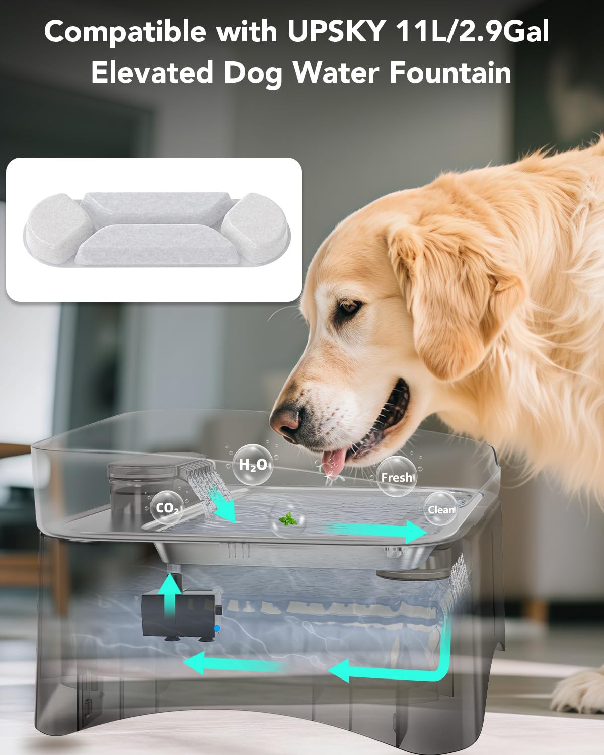 UPSKY packaging et étiquette détaillés pour identifier compatibilité
