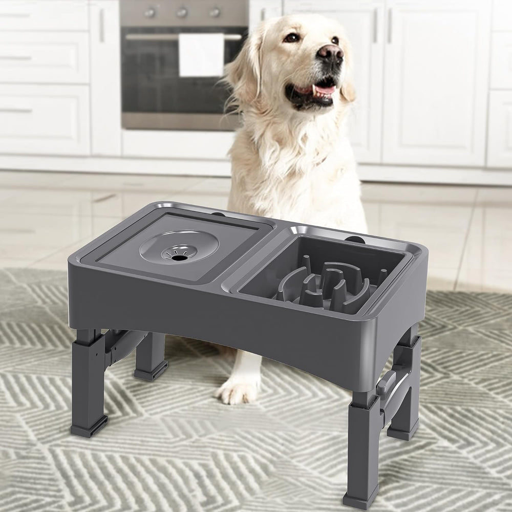 UPSKY chien en train de manger dans une cuisine, confort et propreté