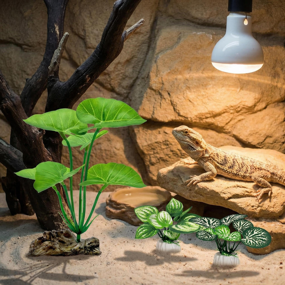 UreverFins betta reposant sur grandes feuilles offrant surface de détente