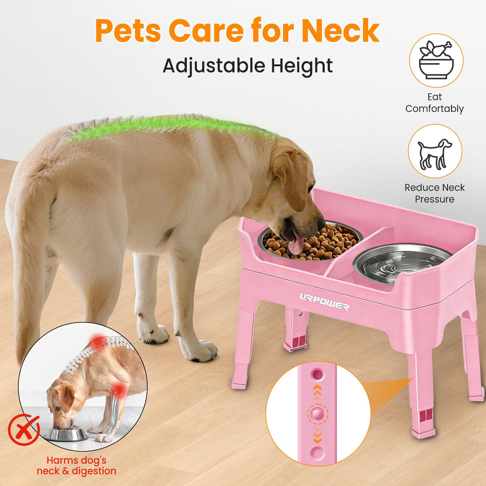 URPOWER comparaison taille avec chien illustrant échelles de hauteur et confort