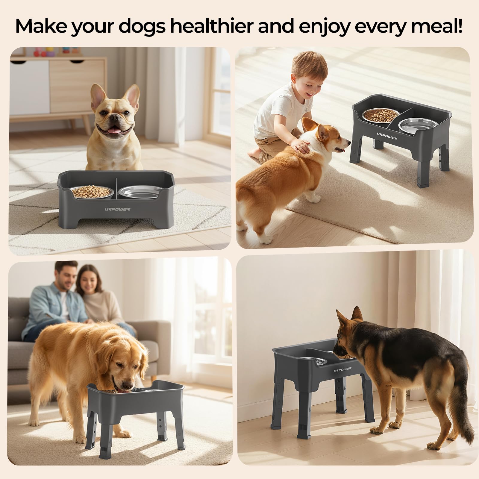 URPOWER comparaison d'échelle avec chien de taille moyenne montrant hauteur réglable