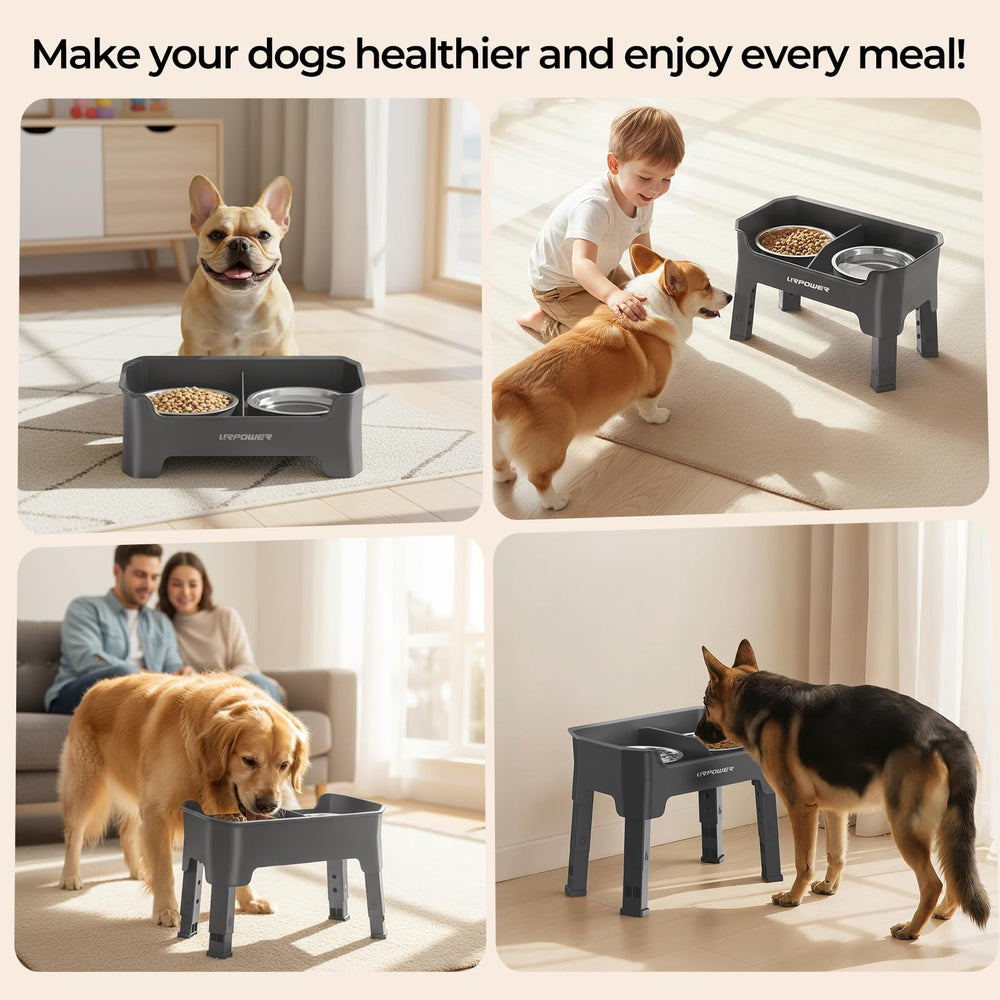 URPOWER comparaison d'échelle avec chien de taille moyenne montrant hauteur réglable