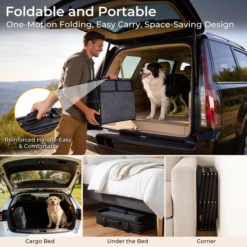 URPOWER avec chien à côté pour visualiser échelle et proportions