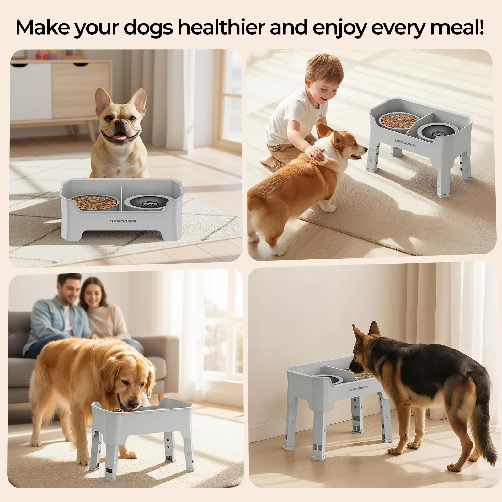URPOWER en cuisine avec chien illustrant repas propre et sans désordre