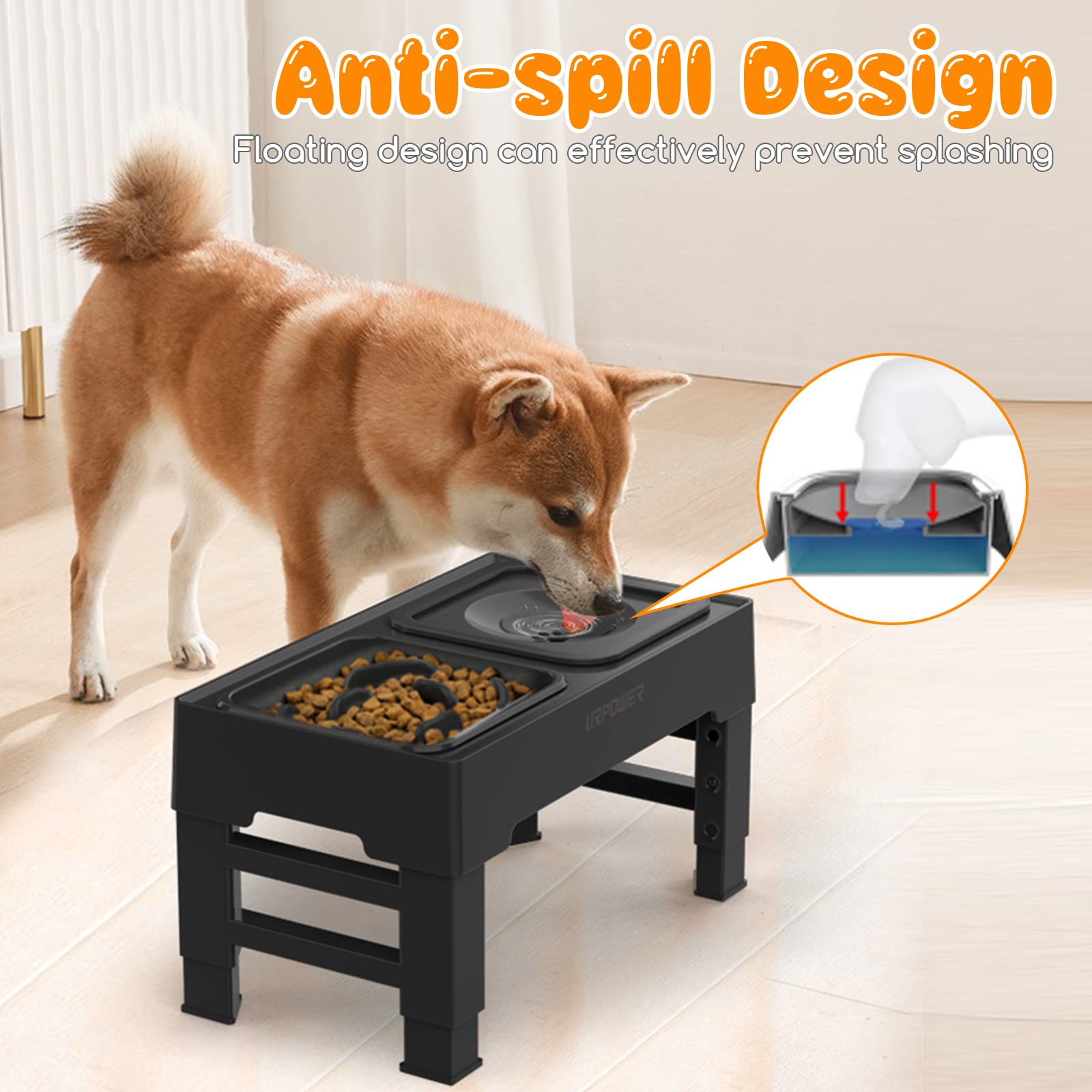 URPOWER gamelle en usage par un chien, promotion d'un repas plus calme et propre