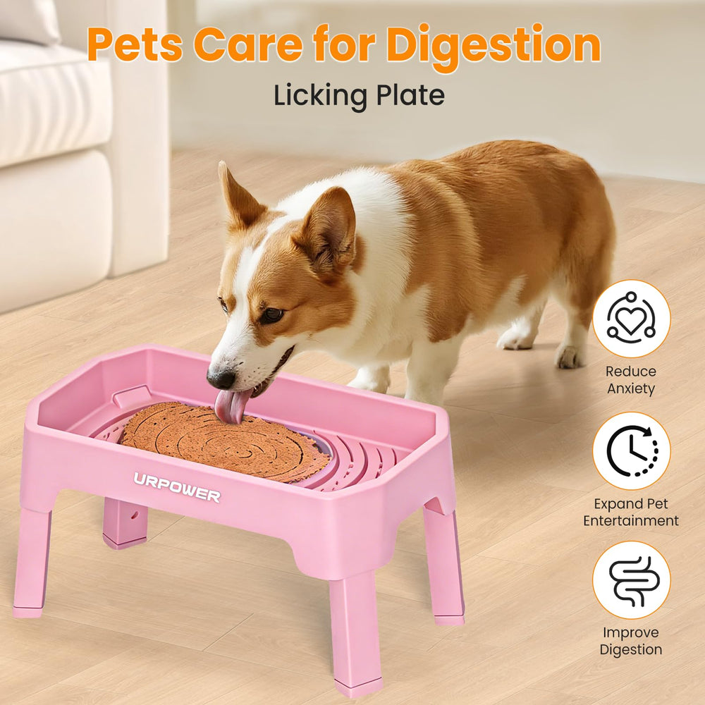 URPOWER support en position haute facilitant l'accès pour chiens de grande taille