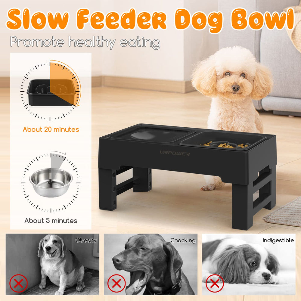URPOWER texture du bol slow feeder montrant obstacles internes, ralentit la prise alimentaire