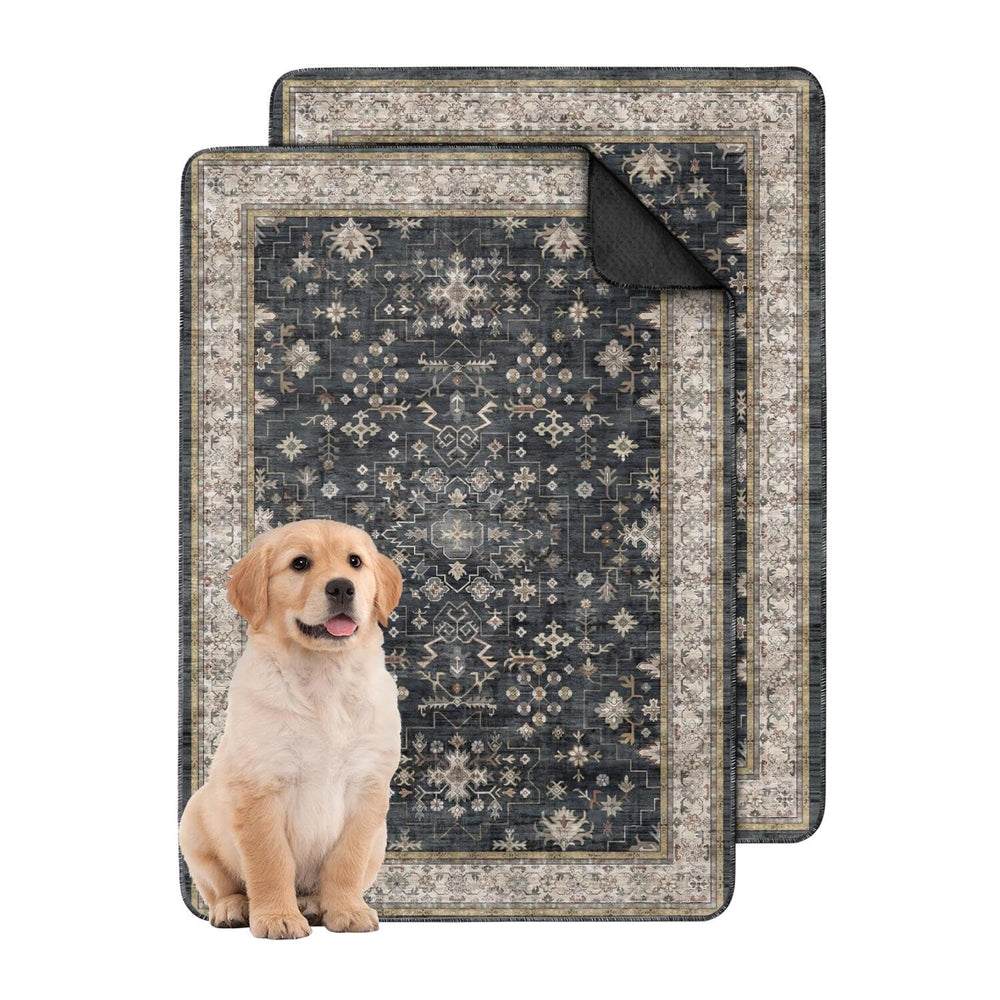 Usnfhcaw — vue avant du tapis lot de 2, protection immédiate