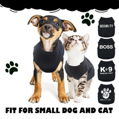 Uswalnna chihuahua portant le tee‑shirt enfilage facile et confort immédiat