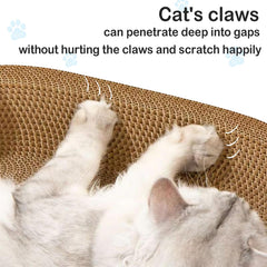 UUig comparaison échelle avec chat pour montrer dimensions XL