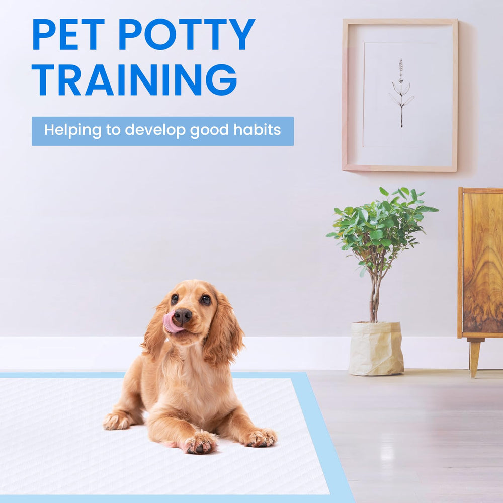 UUMEE tapis placé dans un salon d'appartement illustrant confort et propreté