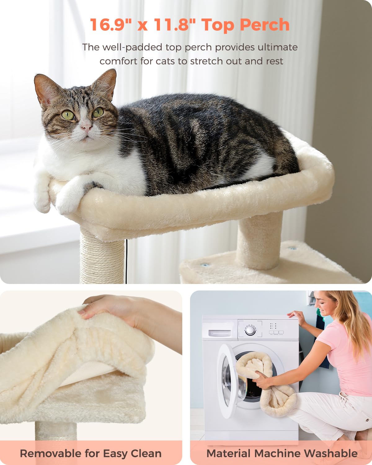 UYMI comparaison taille avec chaton illustrant échelle et proportion