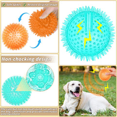 Chien attrapant une balle UZLU lors d'un lancer, jeu actif et entraînement