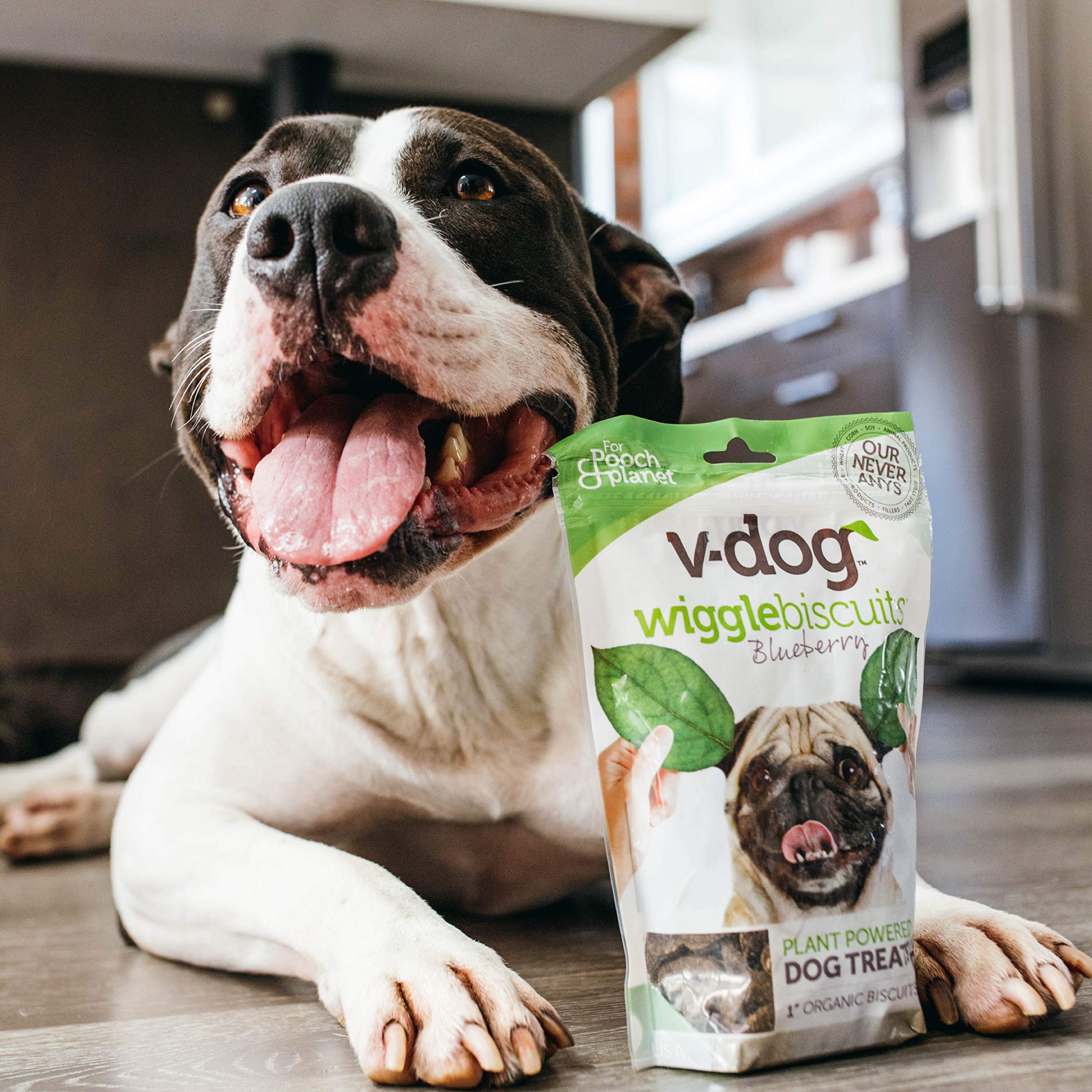 V-dog biscuit dans bol croquant pour présenter conservation et service facile