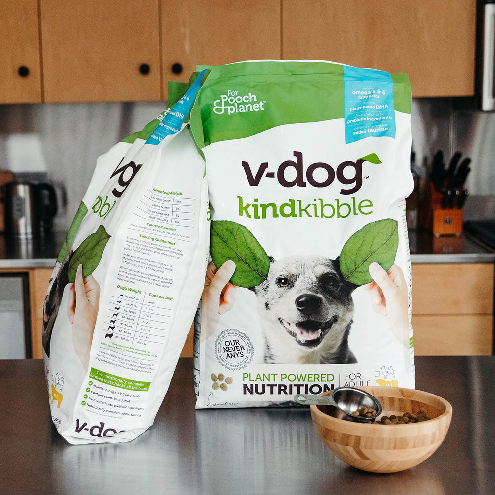 V-dog bol plein en cuisine illustrant portion adaptée et digestion facilitée