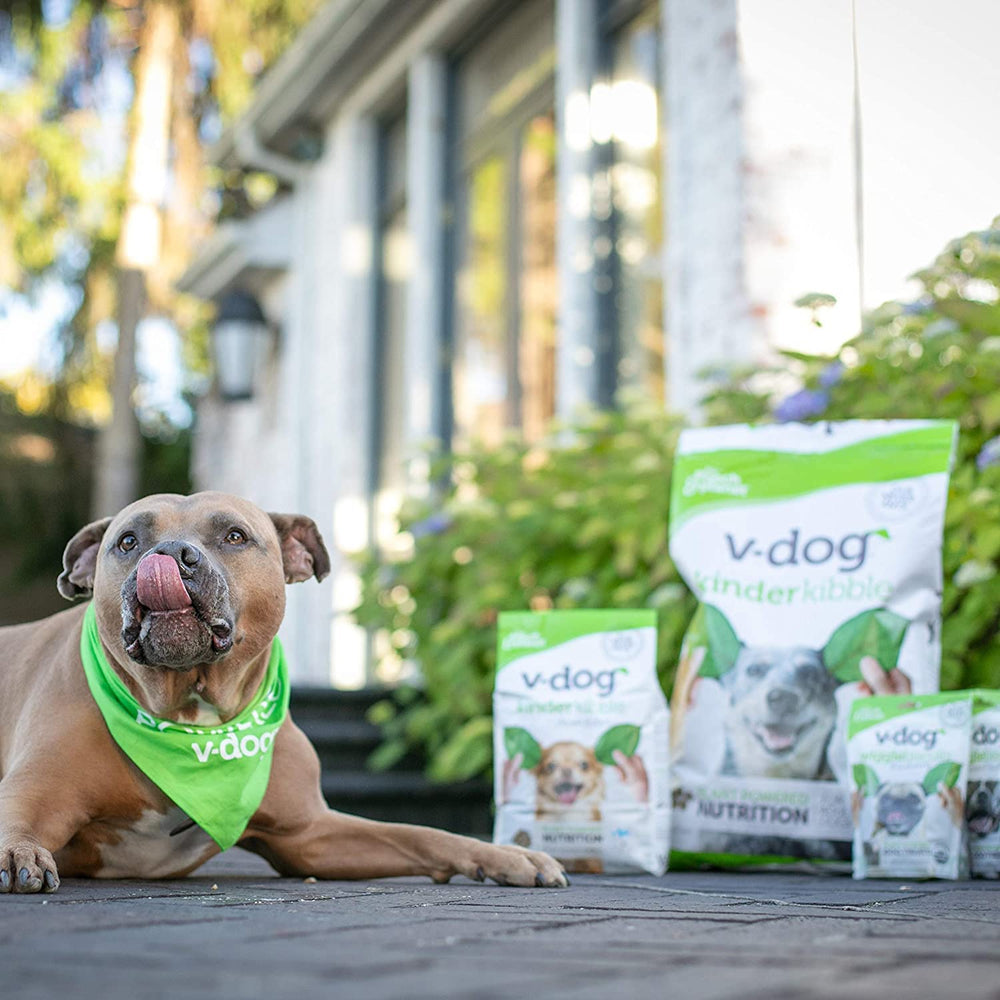 V-dog gros plan illustratif taurine et suppléments pour soutien nutritionnel