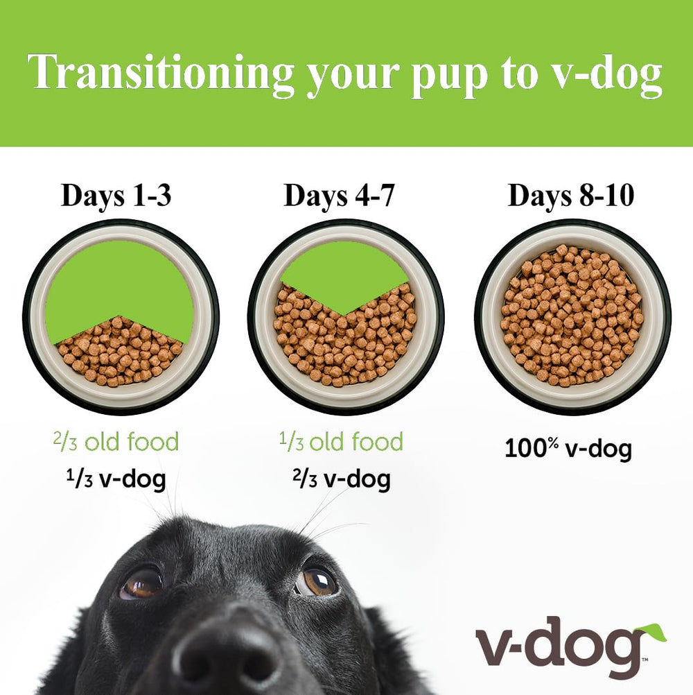 V-dog gros plan sur texture de croquette apportant croquant et appétence