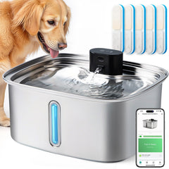 Vacqueen fontaine face avant montrant design robuste et accès facile