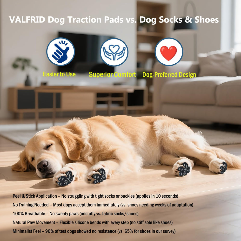 VALFRID style de vie intérieur chien marche sur parquet avec meilleure traction