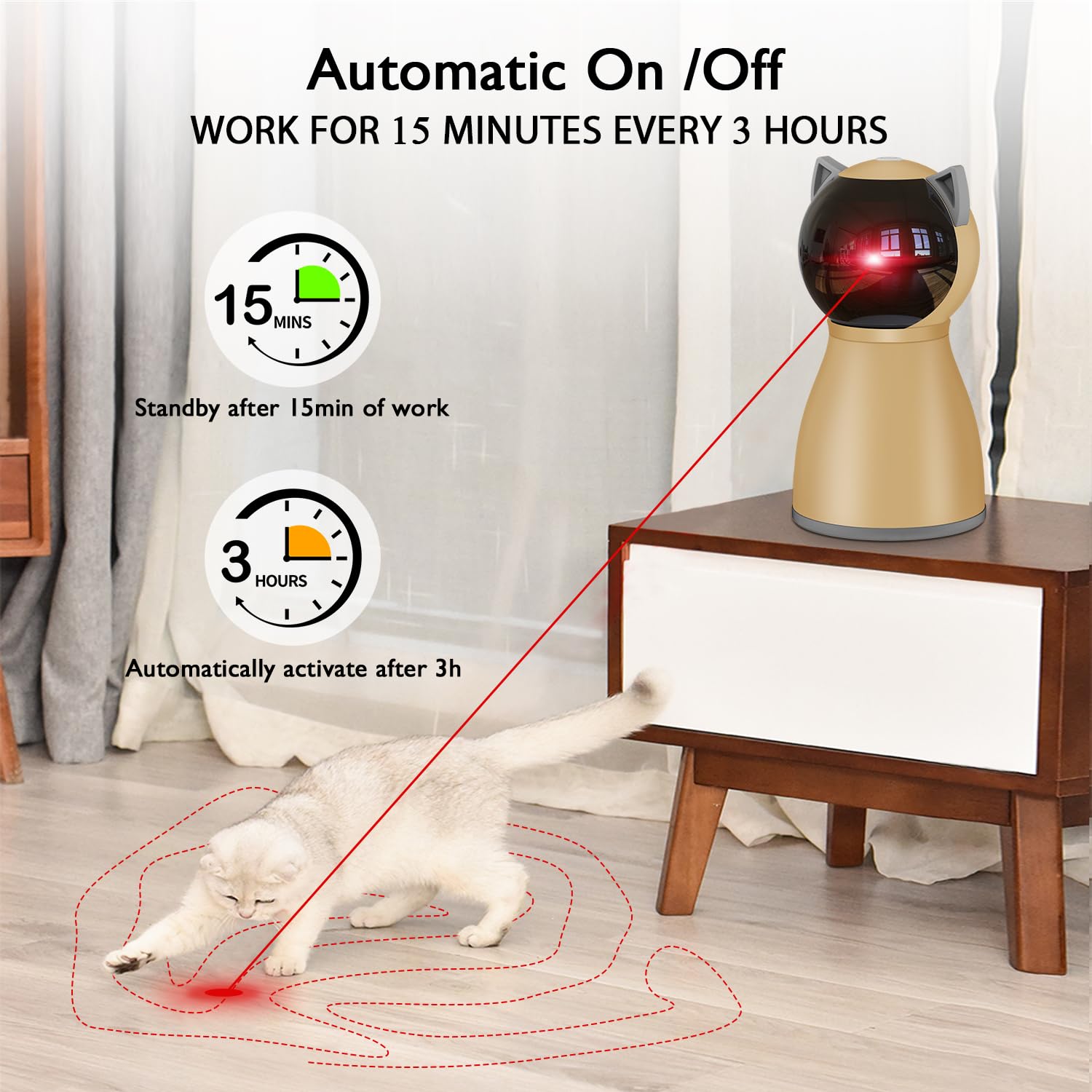 Valonii chat poursuivant le laser indiquant stimulation et exercice