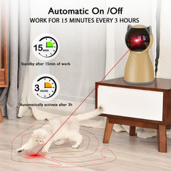 Valonii chat poursuivant le laser indiquant stimulation et exercice