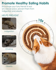 vancasso chien utilisant le bol, stimule la mastication lente