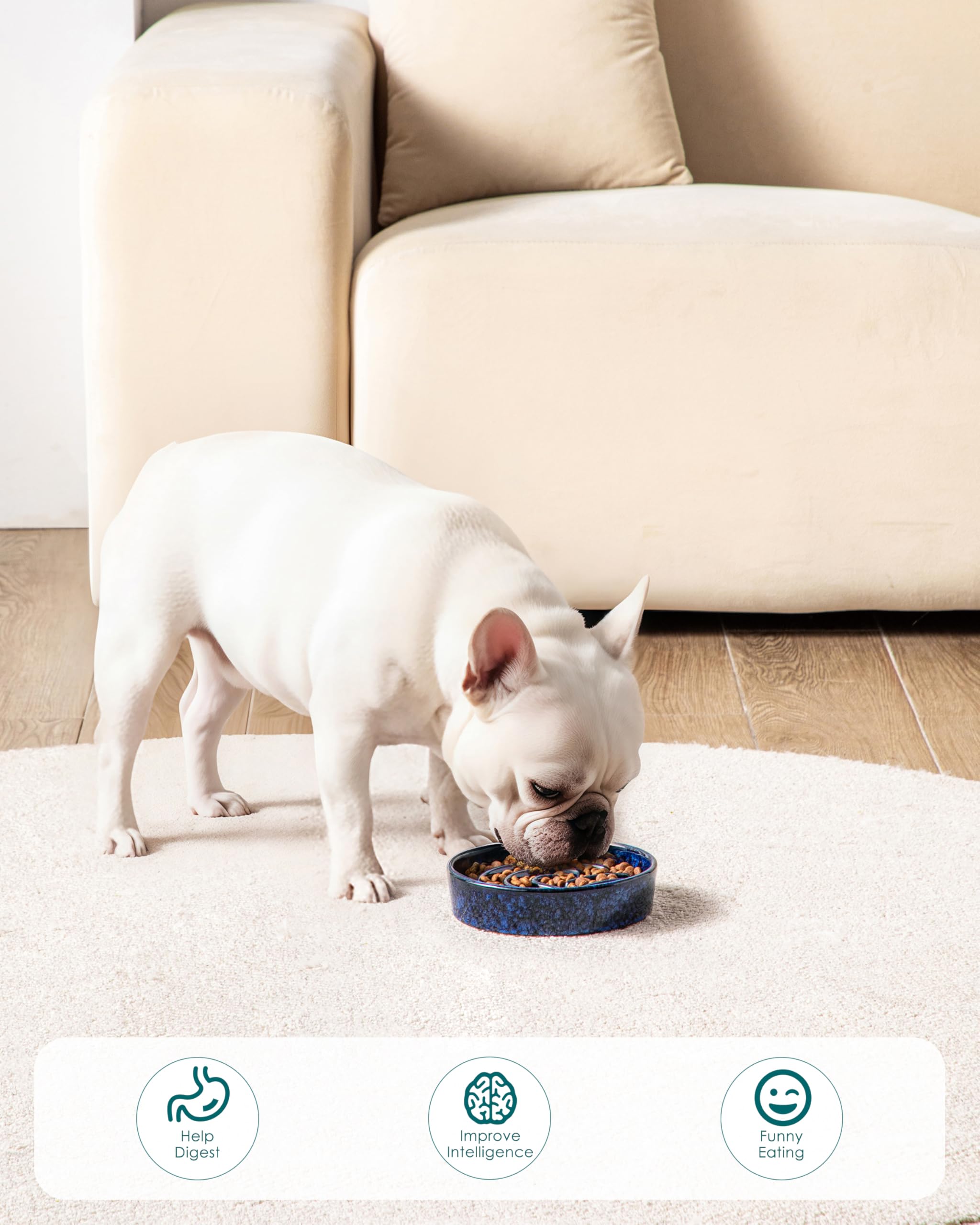 vancasso petit chien utilisant le bol pour manger plus lentement