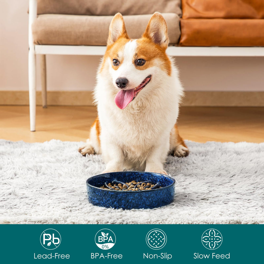 vancasso bol en usage par chien moyen pour repas ludique