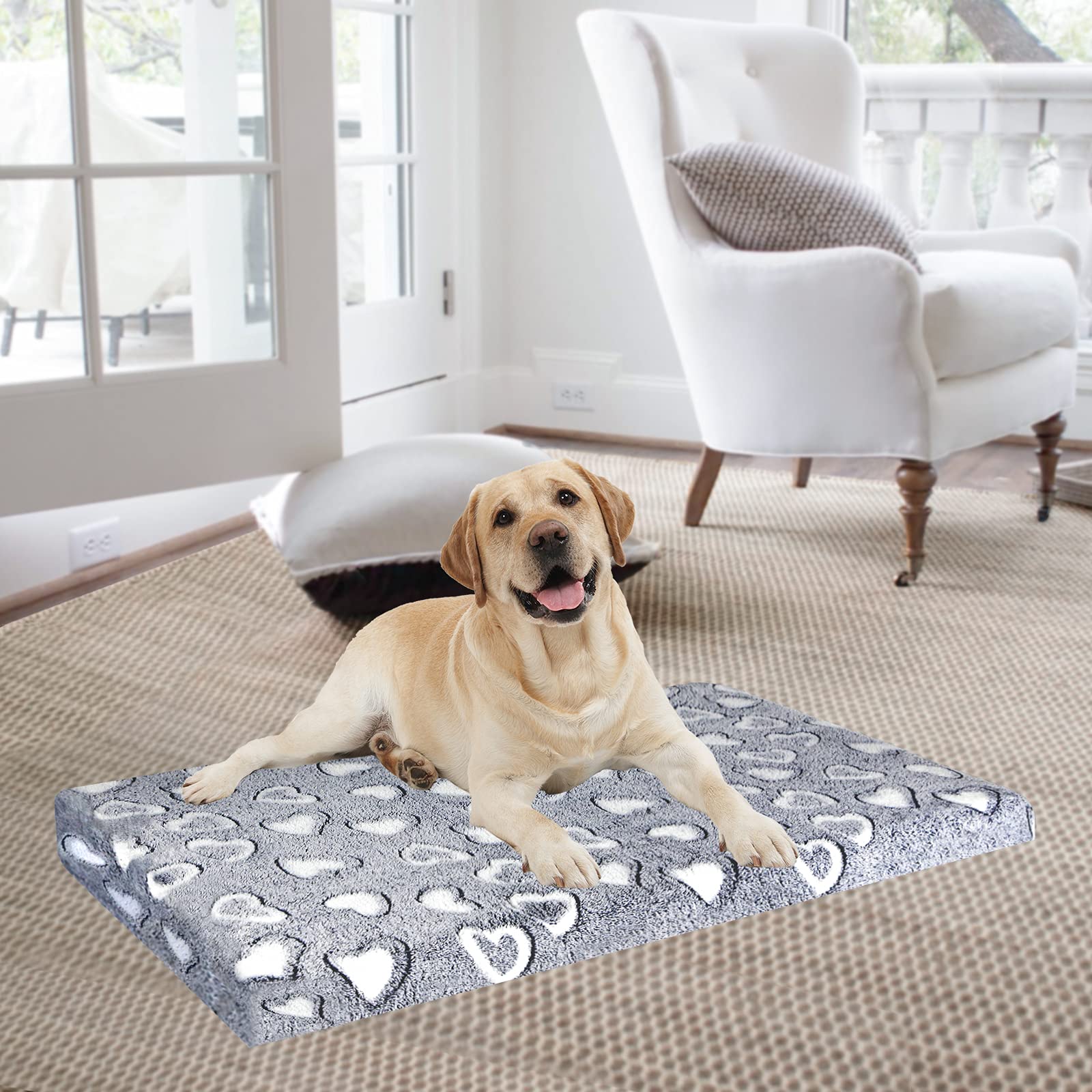 VANKEAN chiot se reposant sur le tapis illustrant confort immédiat