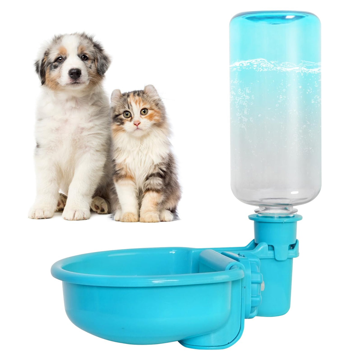 Vannon vue avant gamelle bleu dégradé pour hydratation propre