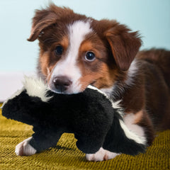 Vaulted Skulls & Co jouet en action chien jouant stimule exercice et interaction