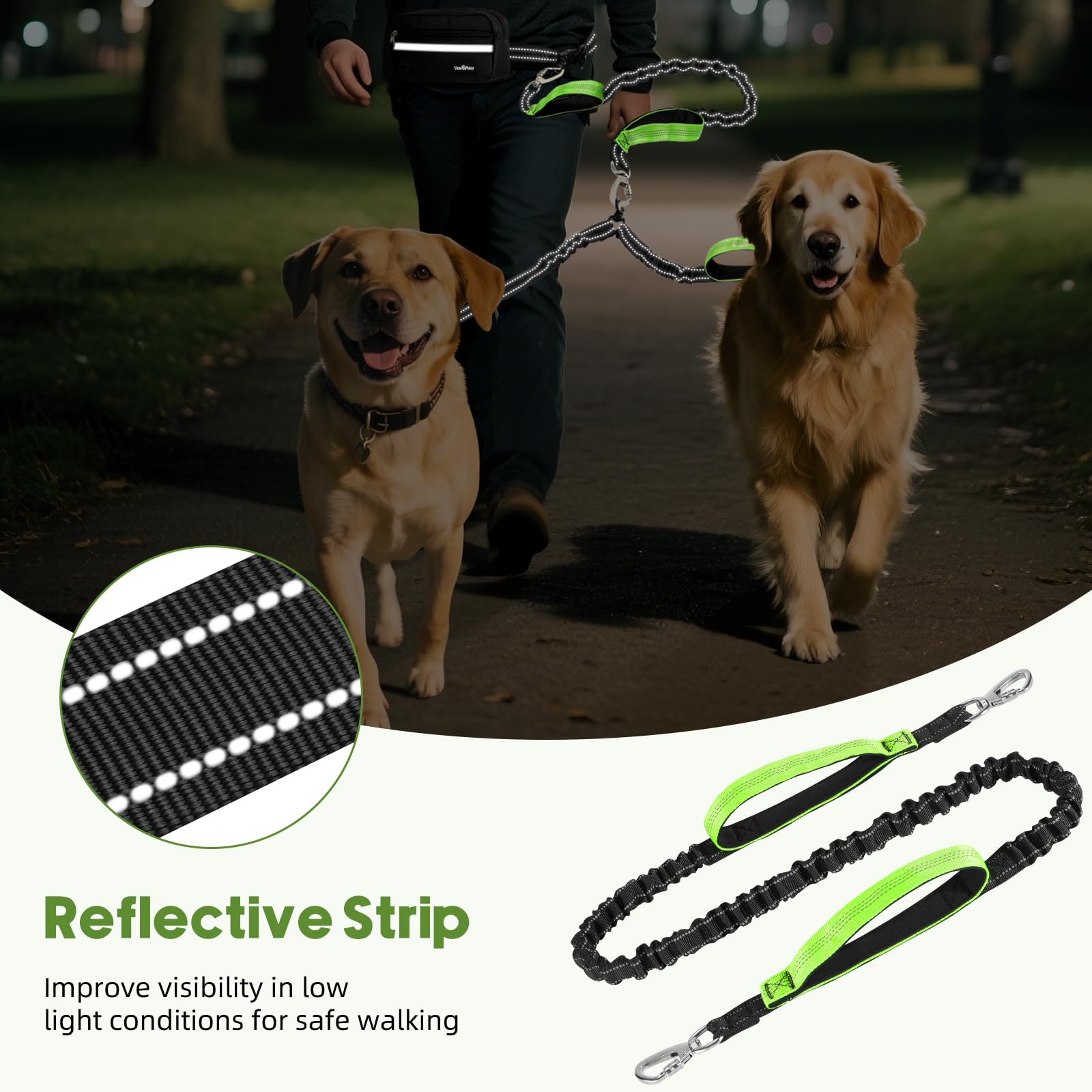 VavoPaw en usage : jogging avec deux chiens pour promenade mains libres
