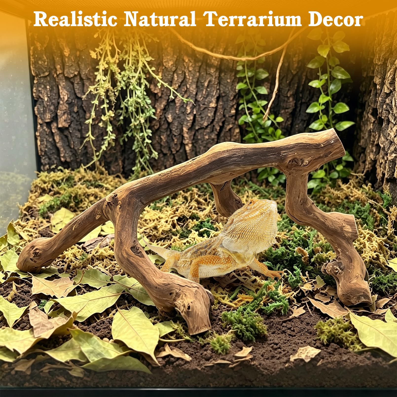 VCEPJH comparaison taille avec ruban pour adapter au terrarium