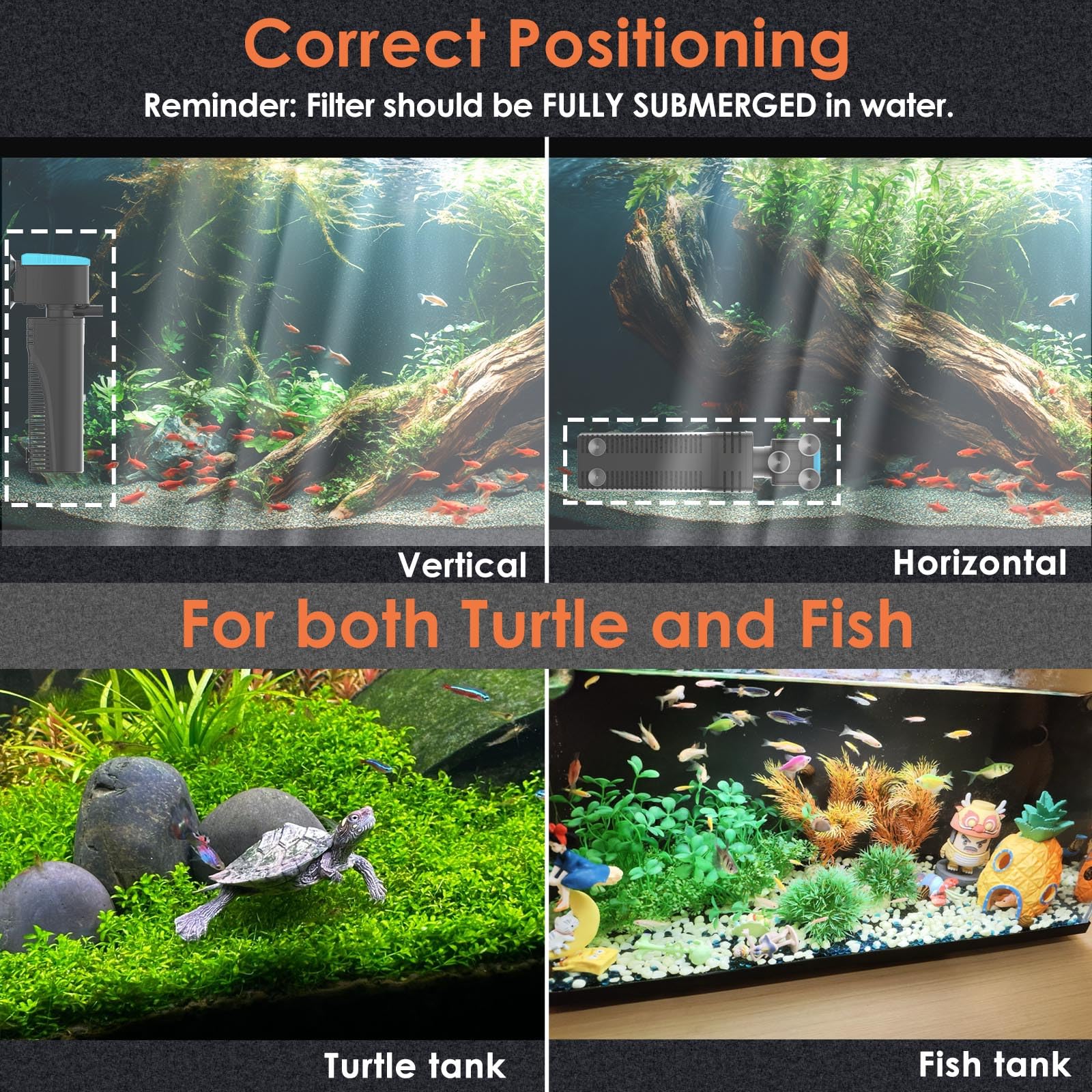 VCRAZE filtre U - V à côté d’un aquarium pour comparer l’échelle